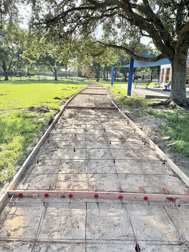 School walkway formed and reinforced under mature trees